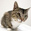 Thumbnail photo of Mia #1