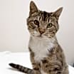 Thumbnail photo of Mia #2