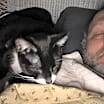 Thumbnail photo of Frick #3