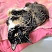Thumbnail photo of Gabby #2