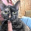 Thumbnail photo of April #1