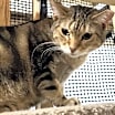 Thumbnail photo of Benjamin #1