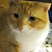 Thumbnail photo of Avalon #3
