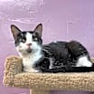 Thumbnail photo of Daphnie #1