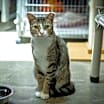 Thumbnail photo of Marcy #1
