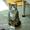 Thumbnail photo of Marcy #2