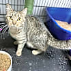 Thumbnail photo of Dottie #4