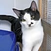 Thumbnail photo of Rio #1