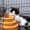 Thumbnail photo of Rio #4