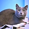 Thumbnail photo of Maggie #3