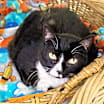 Thumbnail photo of Bea #1