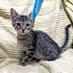 Thumbnail photo of Thelma #2