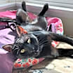 Thumbnail photo of Inky #1
