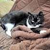 Thumbnail photo of Eduardo #1