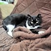 Thumbnail photo of Eduardo #2