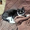 Thumbnail photo of Eduardo #3