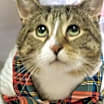 Thumbnail photo of Peter #1