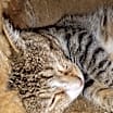 Thumbnail photo of Peter #3