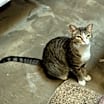Thumbnail photo of Marcy #4