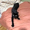 Thumbnail photo of Stitch #2