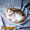 Thumbnail photo of Carmen #1