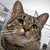 Thumbnail photo of Savannah #1