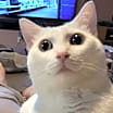 Thumbnail photo of Alex #1