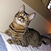 Thumbnail photo of Chloe #1