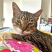 Thumbnail photo of Danny #1