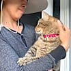 Thumbnail photo of Lancelot #3