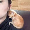 Thumbnail photo of Oliver #2