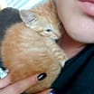 Thumbnail photo of Oliver #3