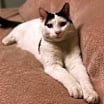 Thumbnail photo of Oscar #1