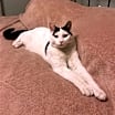 Thumbnail photo of Oscar #2