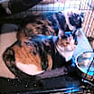 Thumbnail photo of VANESSA FISK #2