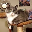 Thumbnail photo of Pinky #1