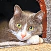 Thumbnail photo of Pinky #2
