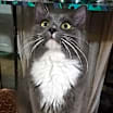 Thumbnail photo of Sebastian #1