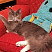 Thumbnail photo of Sebastian #3