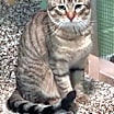 Thumbnail photo of Cheyenne #1