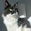 Thumbnail photo of Archie #2