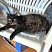 Thumbnail photo of Riley #1