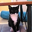 Thumbnail photo of Jelly #1