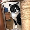 Thumbnail photo of Nilah #2