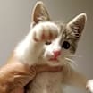 Thumbnail photo of SADIE #2