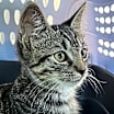 Thumbnail photo of Tyler #3
