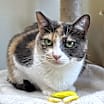 Thumbnail photo of Delilah #1