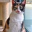 Thumbnail photo of Delilah #3