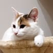 Thumbnail photo of Sarah #1