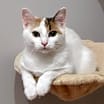 Thumbnail photo of Sarah #2